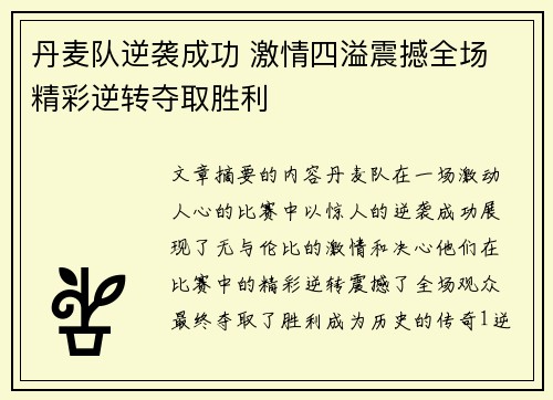 丹麦队逆袭成功 激情四溢震撼全场 精彩逆转夺取胜利